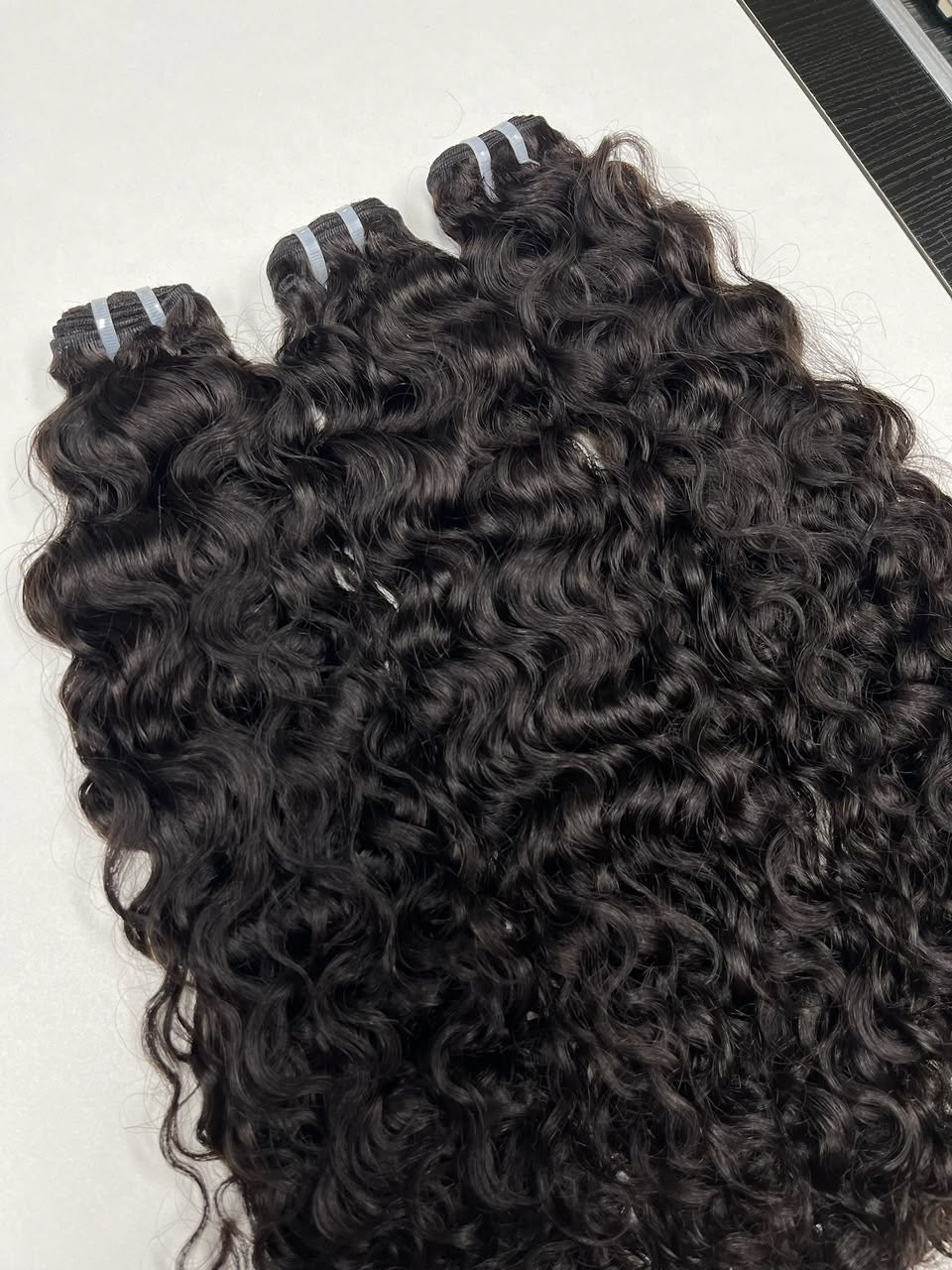 Indian curly